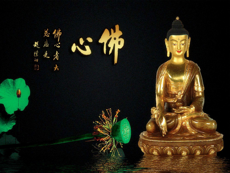 常常放生，與佛心更相契