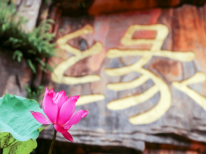 每一段緣份，都值得感恩