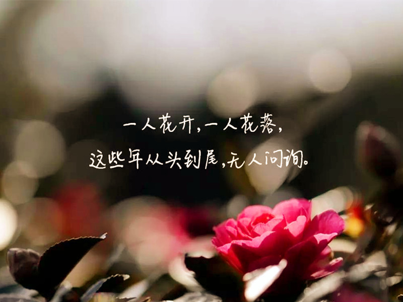 人啊，太能干了，有時并不是好事
