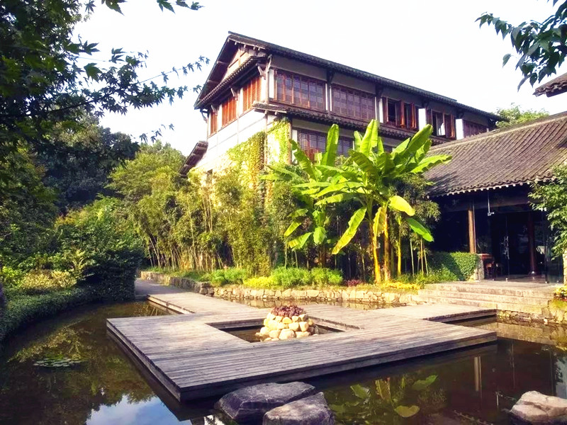 種樹可以帶來(lái)財(cái)運(yùn)，你可知道！