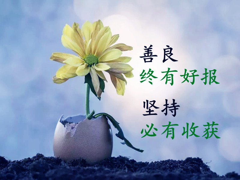 堅持原則，保持善良，為大家做實事