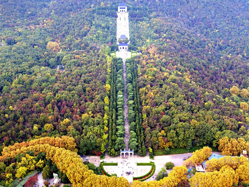 8.jpg