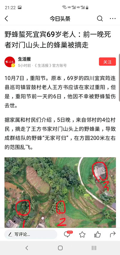 例17.jpg